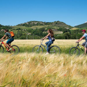 Mobilité et Transport