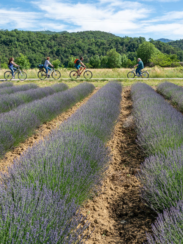 Une mobilité multimodale respectueuse de l’environnement